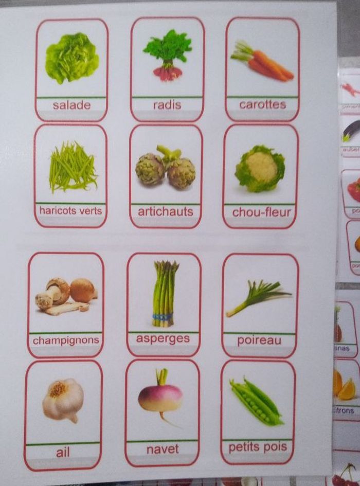 Loto memory fruits et légumes pictogrammes - photo numéro 6