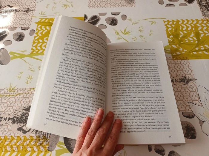 Livre : La baie aux perles de Roxane Dhand - photo numéro 7