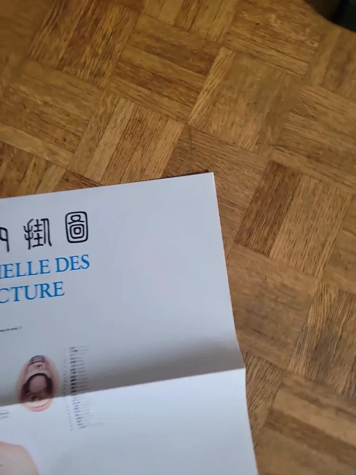 Localisation officielle des points d' acupuncture - photo numéro 15