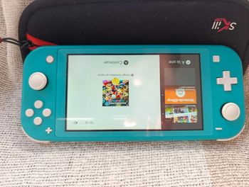 Switch lite