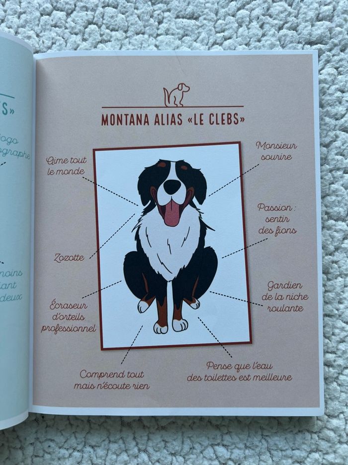 Un van, un chien, deux chats, en route ! de Justine WDM - photo numéro 4