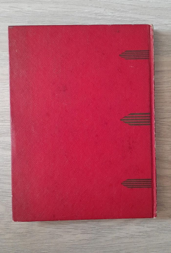 Les trois enfants (quatrevingt-treize) par Victor Hugo - photo numéro 8