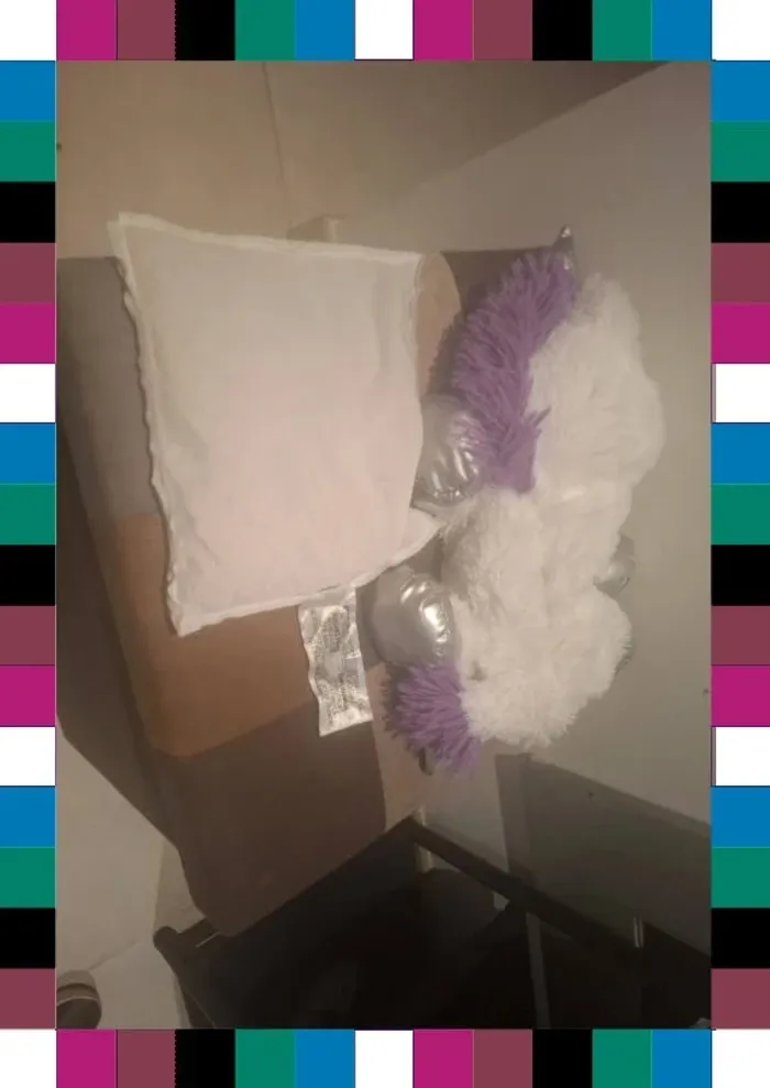 Peluche bouillotte - photo numéro 3