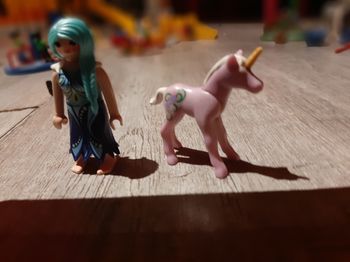 Playmobil