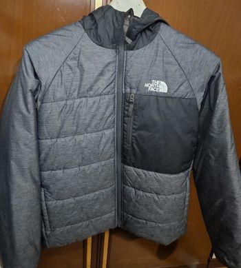 Doudoune the North face