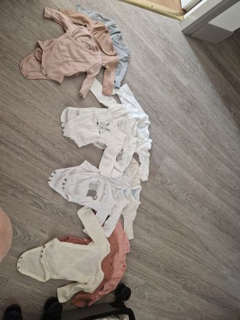 Bodies
