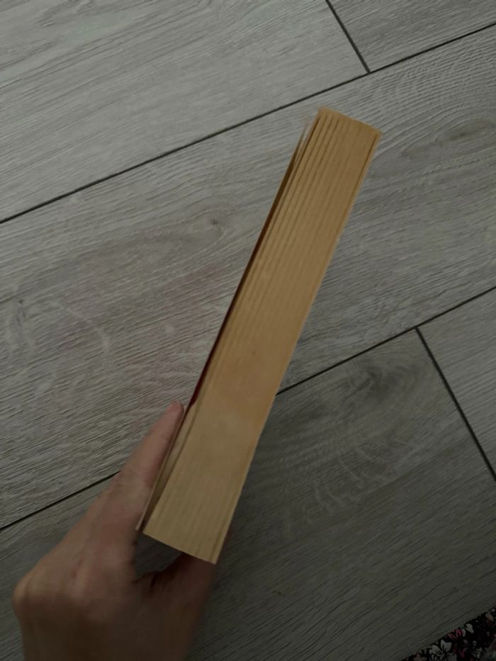 Livre 4 amis à Manhattan - photo numéro 3