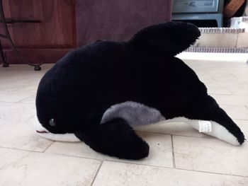 Orque en peluche