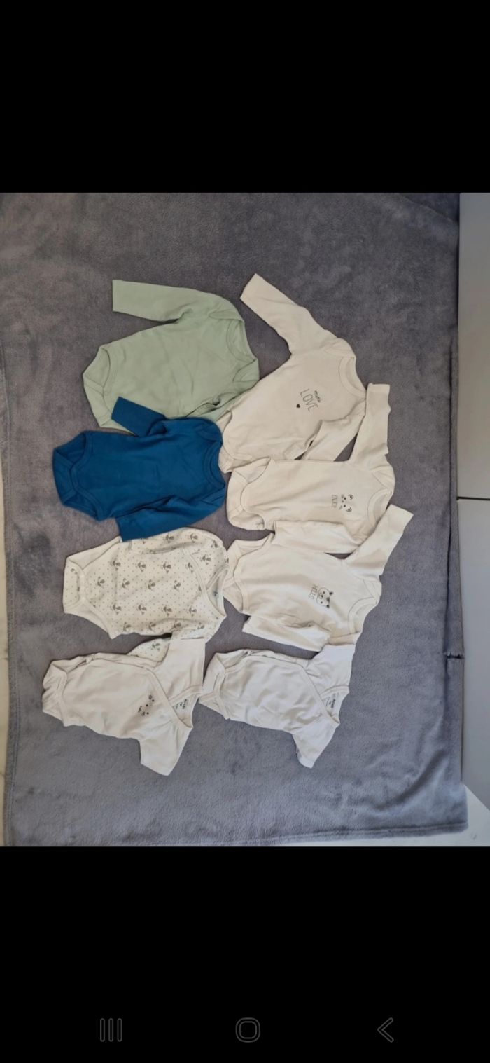 Lot 9 bodies