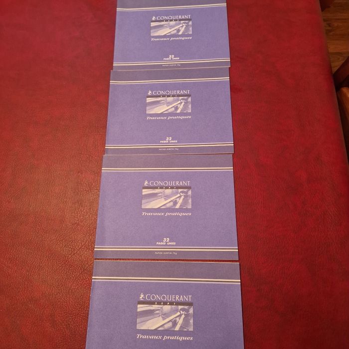 Lot 4 cahiers dessin/ travaux pratiques