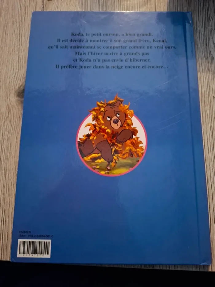 Livre  frère des ours  jours de neige - photo numéro 2