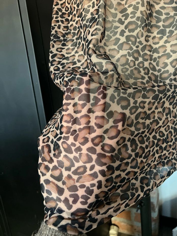 Nuisette transparente - photo numéro 2