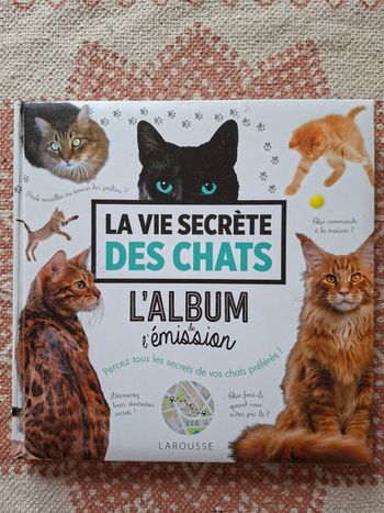 La vie secrète des chats