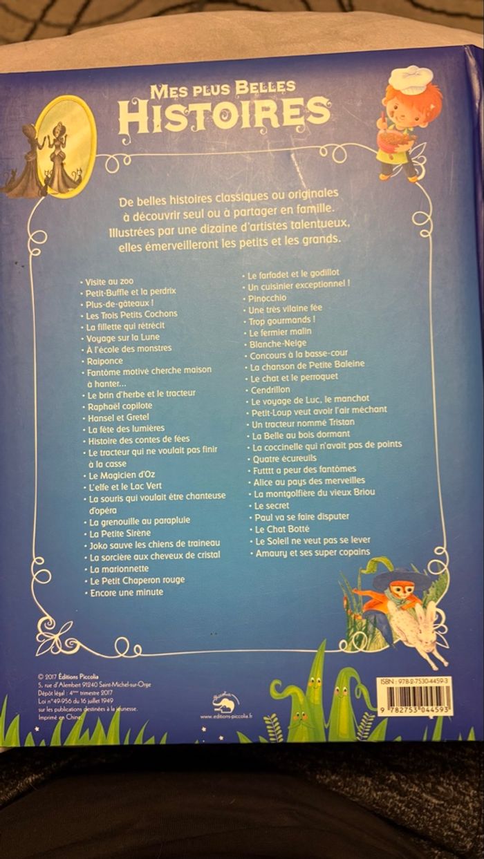 Livre d’histoire - photo numéro 2