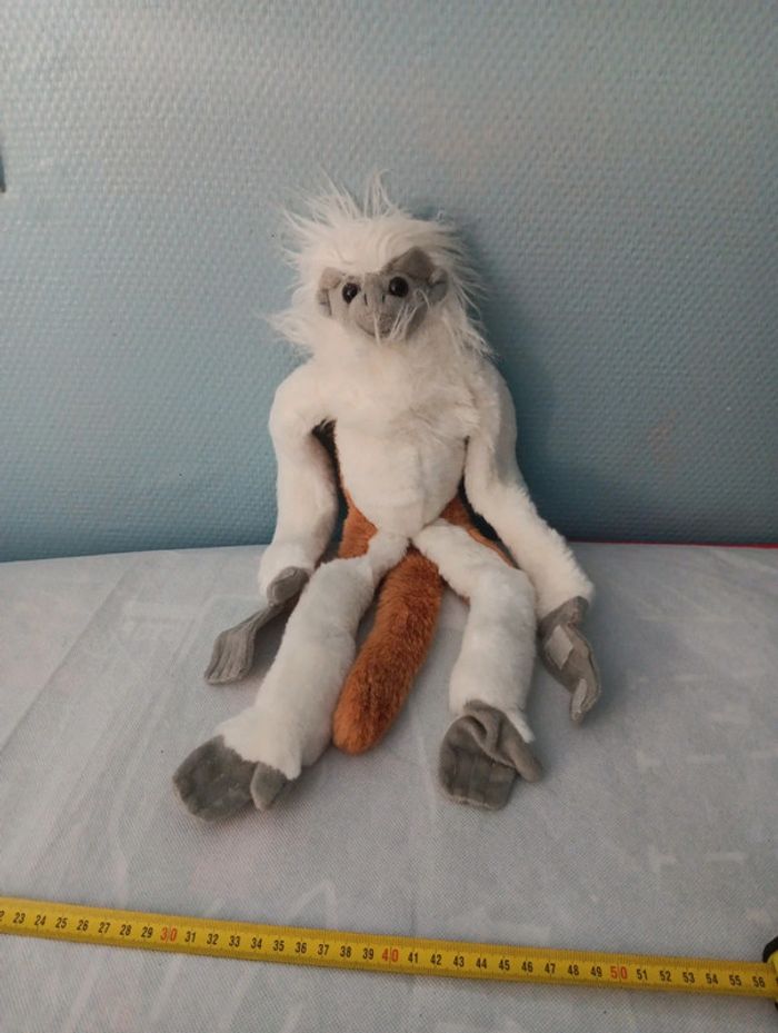Singe