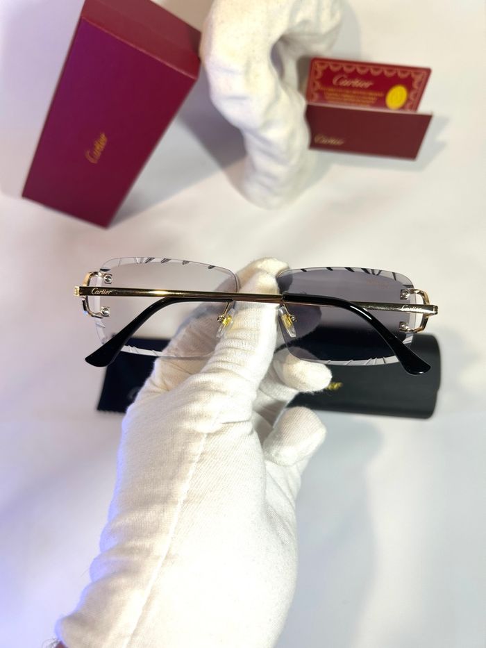 Lunette 4 saisons Cartier ❄️🍂🍃☀️ - photo numéro 3