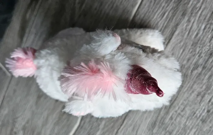 Peluche licorne - photo numéro 2