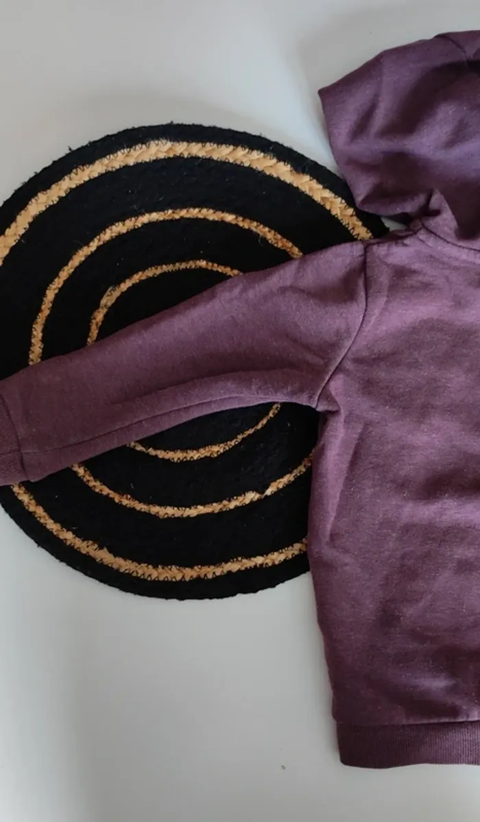 Ensemble survêtement jogging veste à capuche bébé fille mi saison printemps automne hiver - photo numéro 9