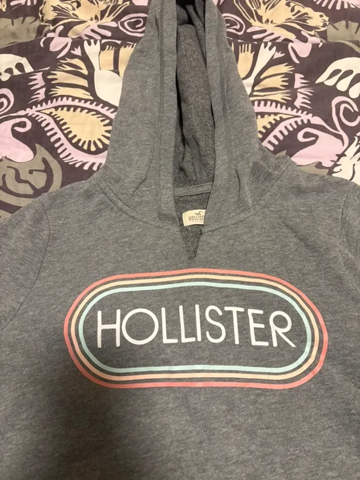 Lot de 2 sweats à capuche hollister taille s - photo numéro 11