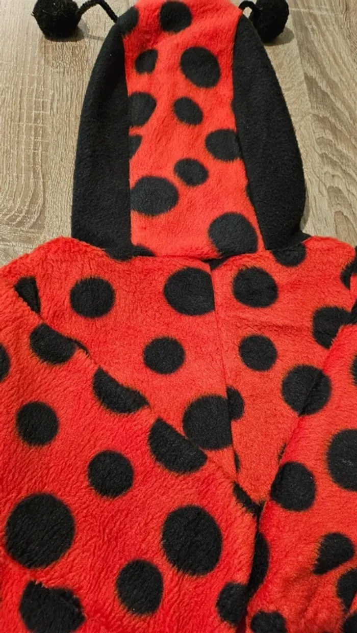 Costume coccinelle 18/24 mois - photo numéro 6