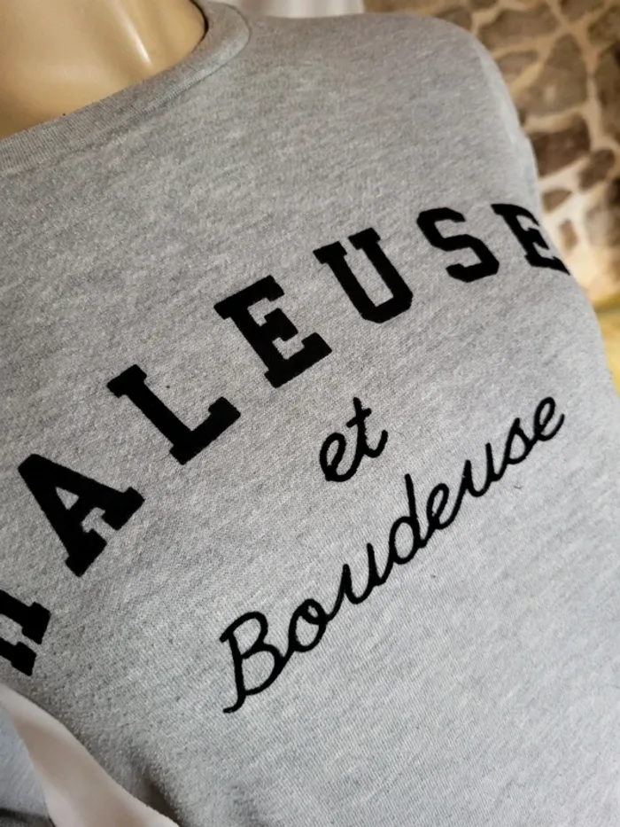 Pull râleuse - photo numéro 4