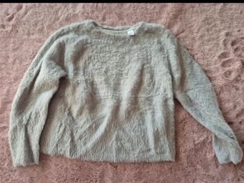 Pull a poil