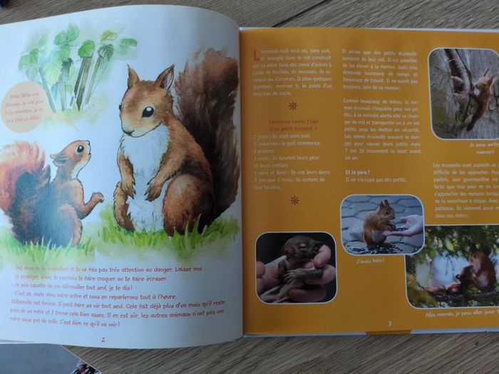 Superbe livre sur les animaux - photo numéro 2