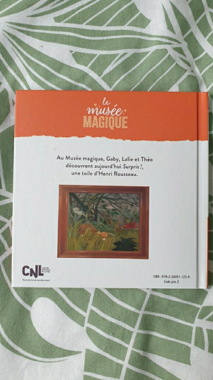 Neuf livre enfant Hachette Jeunesse sur le thème de l art Surpris Henri  Rousseau - photo numéro 2