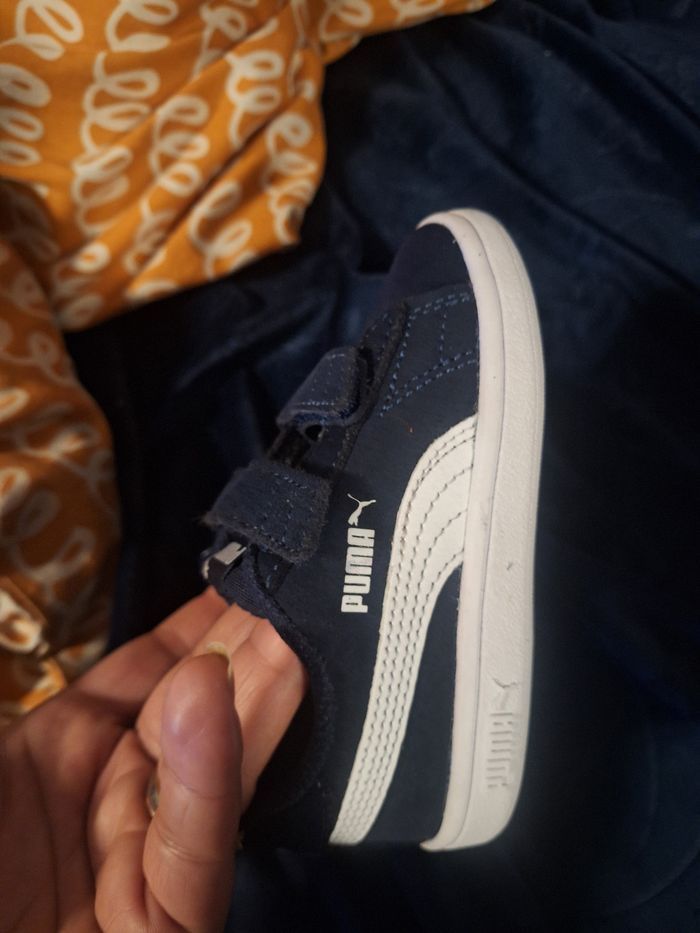 Puma - photo numéro 3