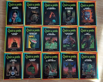 15 Livres Chair de Poule