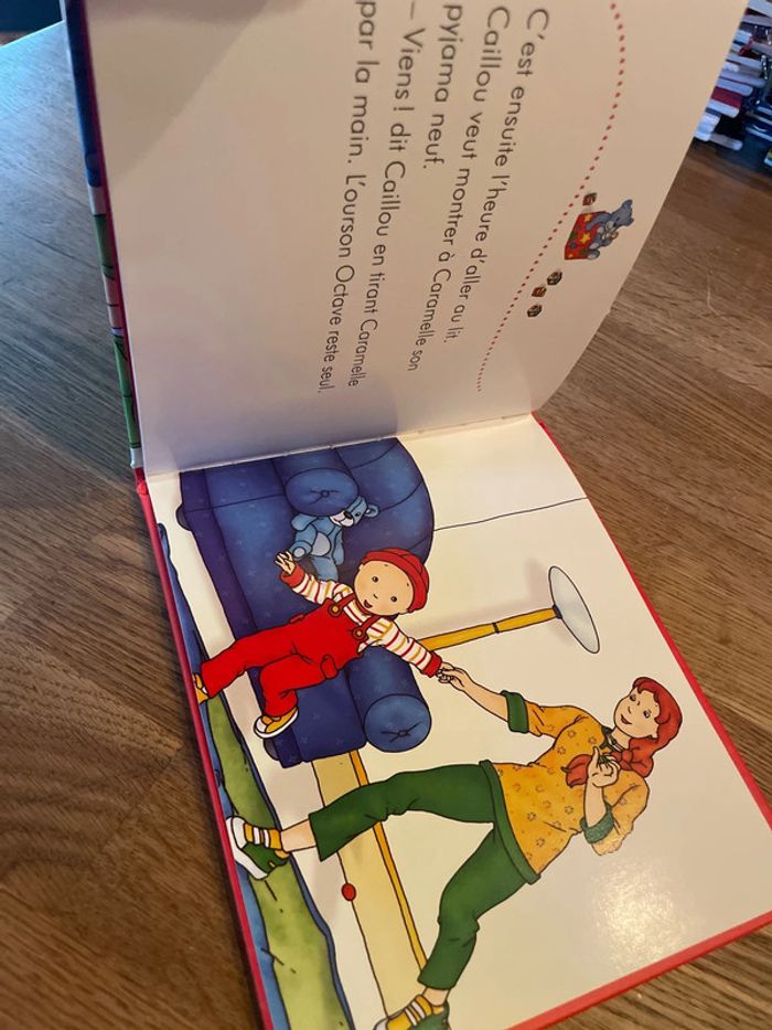 Livre Caillou La sortie - photo numéro 7