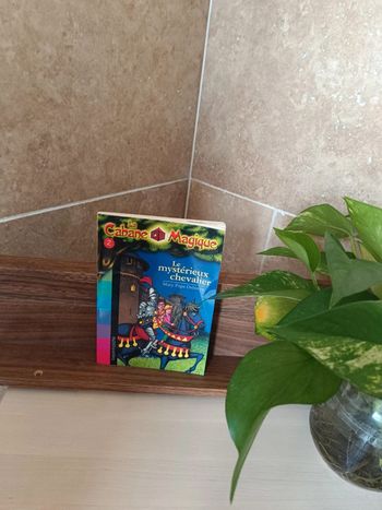 Livre la cabane magique