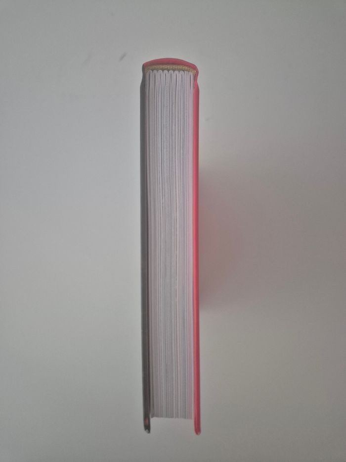 Livre historique - photo numéro 3