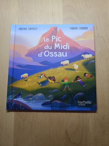 Le pic du midi d'Ossau