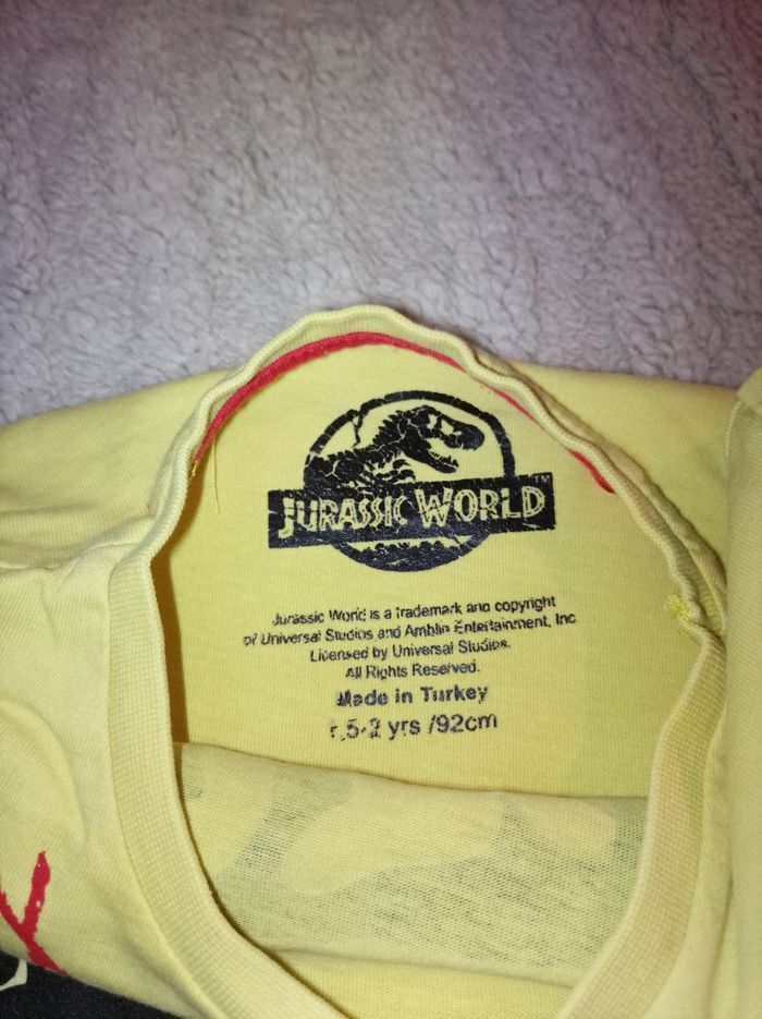 T-shirt manches courtes - photo numéro 3