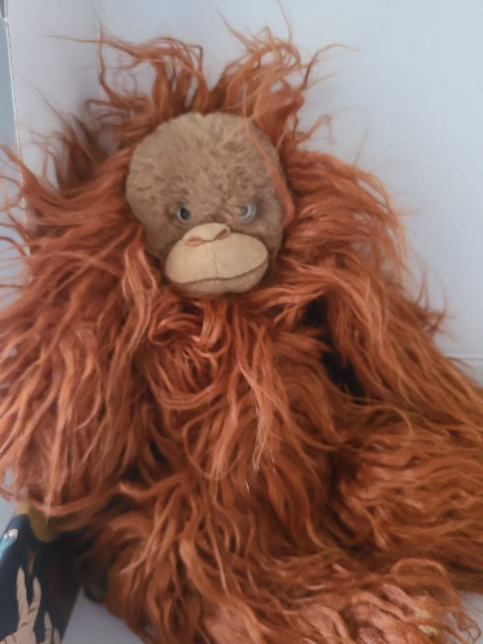 orang-outan - photo numéro 5