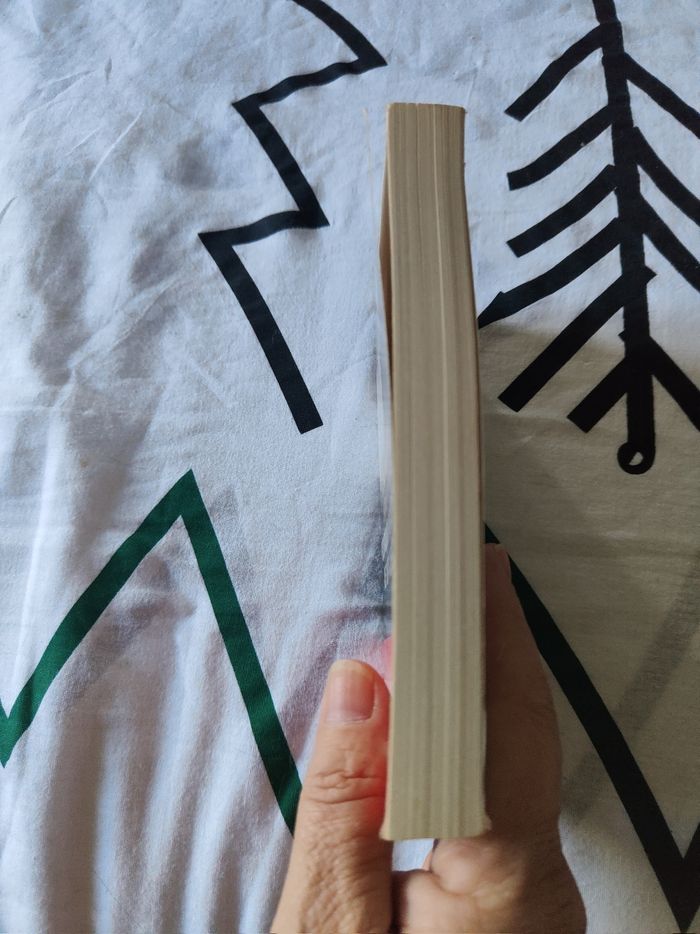 Pourquoi personne ne m a aidée? - photo numéro 4