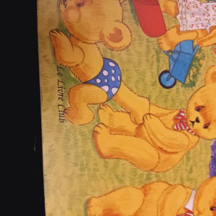 Livre le jardin des petits-ours - photo numéro 4