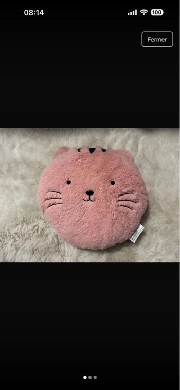Coussin chat 