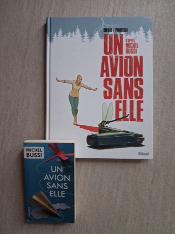 Un avion sans elle de MIchel Bussi