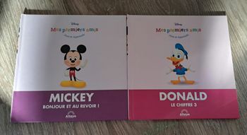 Livre Mickey 