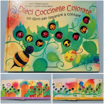 Dieci coccinelle colorate, un libro per imparare a contare (84)