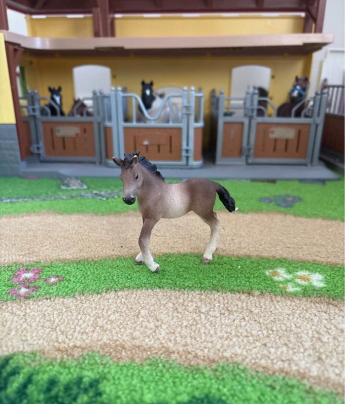 Schleich poulain - photo numéro 4