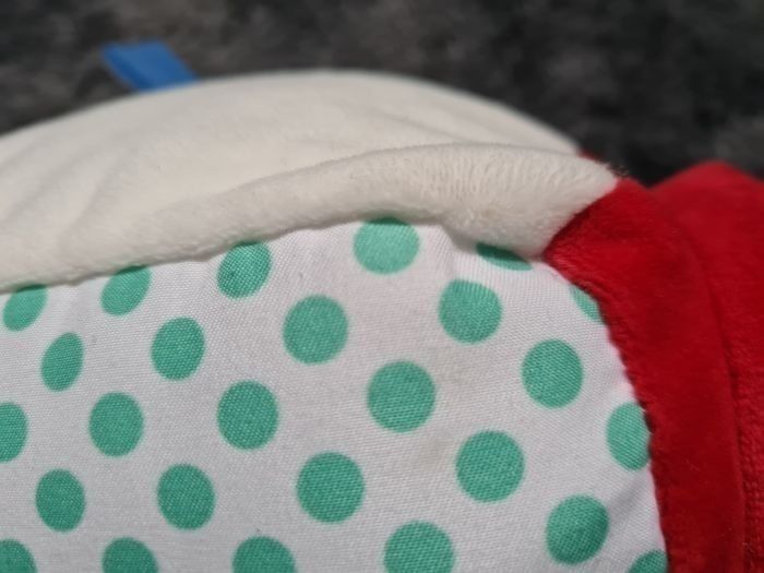 Chien activité - photo numéro 7