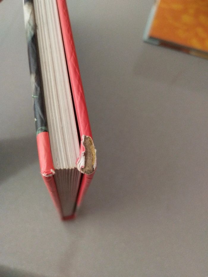 Mon animalier géant - photo numéro 3