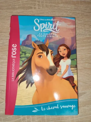 Spirit
