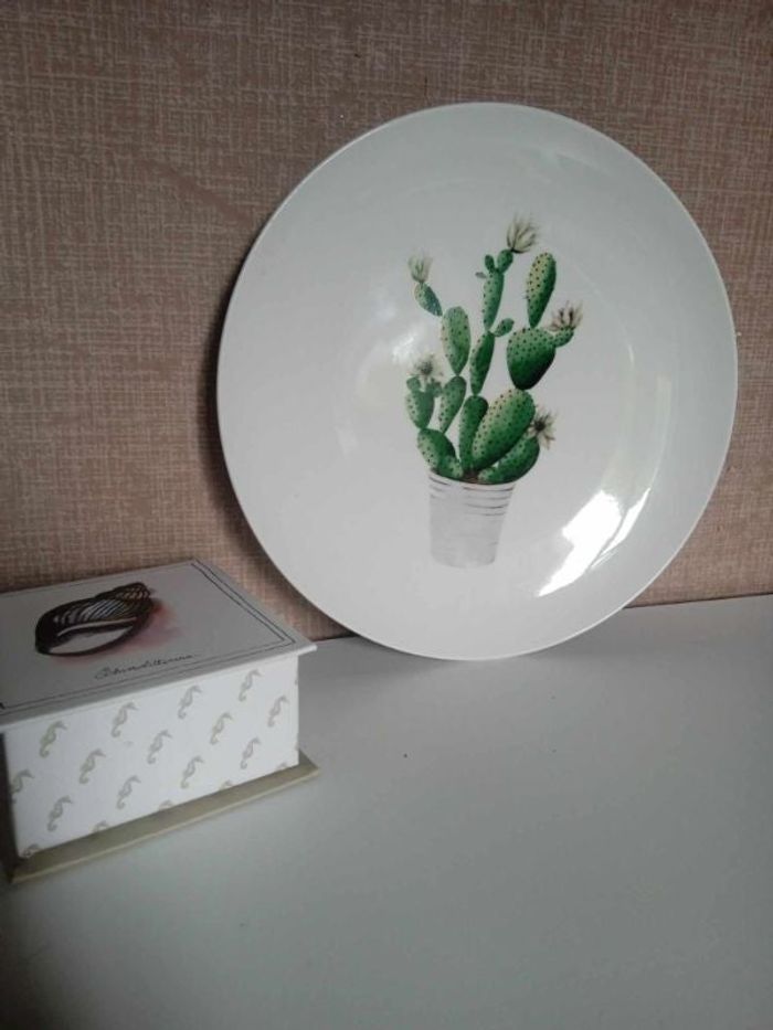 Assiette murale cactus 🌵 Marque wonder wall