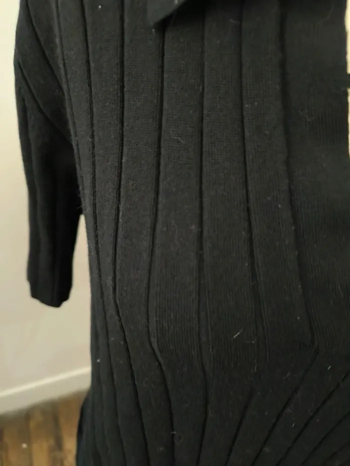 Polo court - photo numéro 2