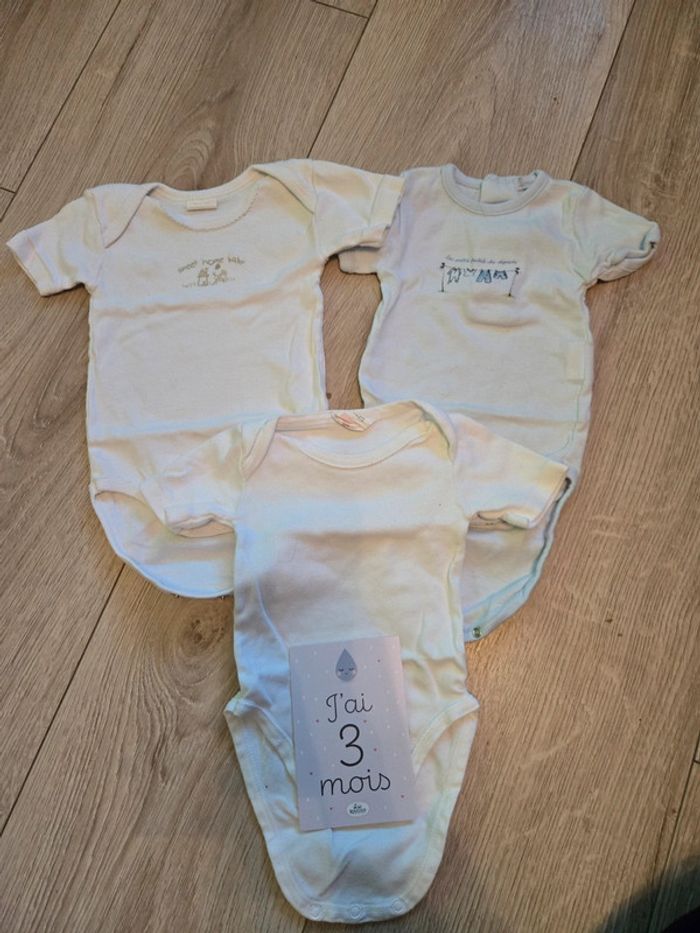 Lot 3 bodies