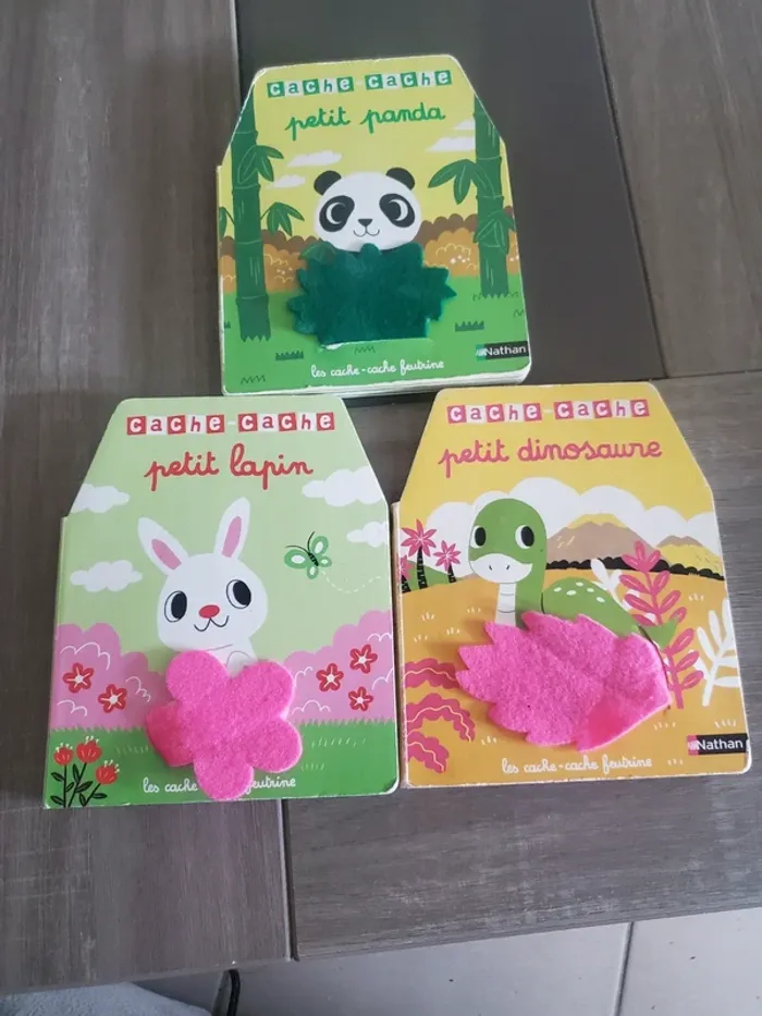 Lot de 3 livres Cache cache